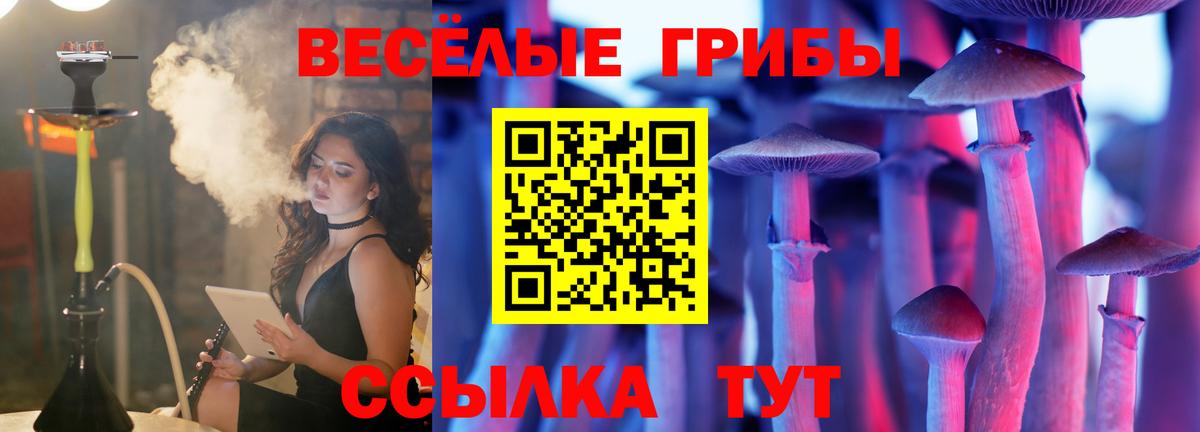 Чебаркуль  Псилоцибиновые грибы ЛСД  Вход с VPN 